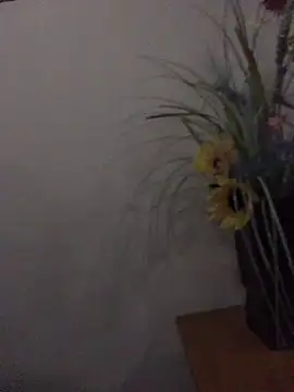 Snapshot of newjam chatting on October 2025 08:09:01 AM newjam online show from October 2025 08:09:01 AM