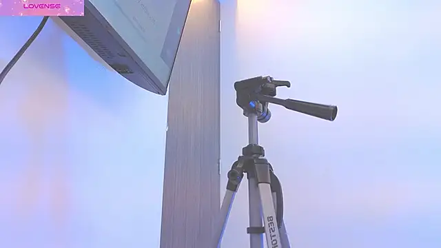 Daisy Price online show from March 2026 11:02:01 AM