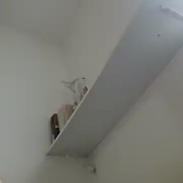 Crocante Hot online show from July 2026 09:48:01 AM