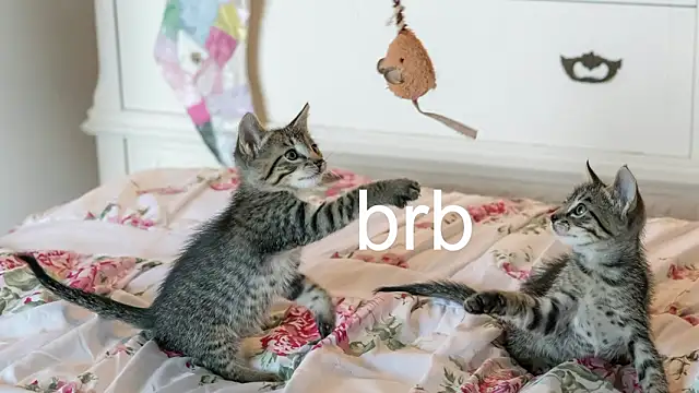 Snapshot of Pink_girl0n chatting on March 2026 11:44:01 PM Pink girl0n online show from March 2026 11:44:01 PM