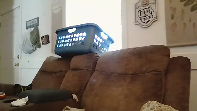 Snapshot of alwayshorny90 chatting on November 2025 05:35:01 PM alwayshorny90 online show from November 2025 05:35:01 PM