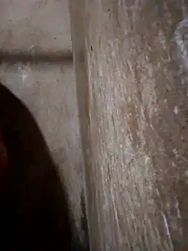 Lujor online show from March 2026 11:44:02 PM