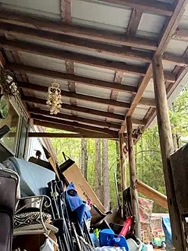 bb empress online show from October 2025 01:30:01 PM