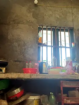 Sunny lotus online show from December 2025 05:34:01 AM