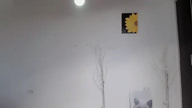 Stein  online show from September 2025 01:55:01 PM