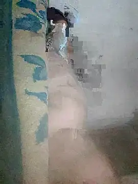 fdggdddd online show from March 2026 11:42:01 PM