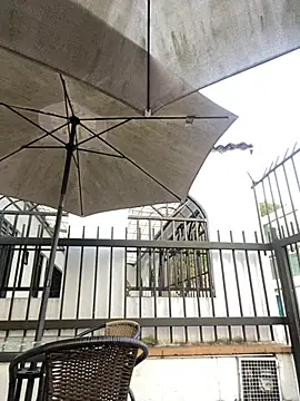 Sallem Pink online show from April 2026 11:13:02 AM