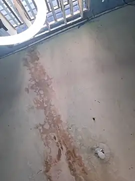 camila rogue online show from November 2025 12:08:02 PM