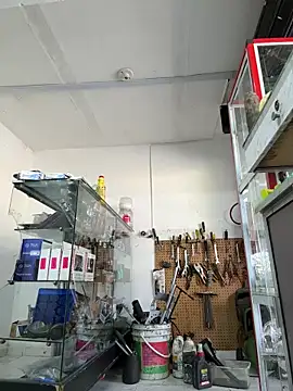 Snapshot of Terra-22cm chatting on April 2026 01:23:01 PM Terra-22cm online show from April 2026 01:23:01 PM