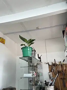Snapshot of Terra-22cm chatting on April 2026 01:26:02 PM Terra-22cm online show from April 2026 01:26:02 PM