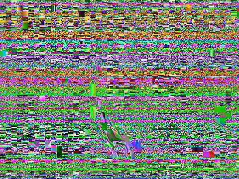 Dilfcam101 online show from March 2026 09:26:01 AM