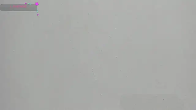 FluffyMelons online show from January 2026 12:04:01 AM