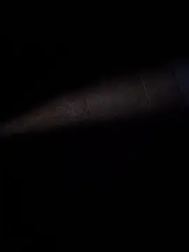 ratoncito 3 online show from February 2026 02:37:02 AM