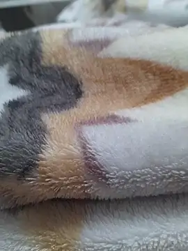 ratoncito 3 online show from March 2026 12:31:02 PM