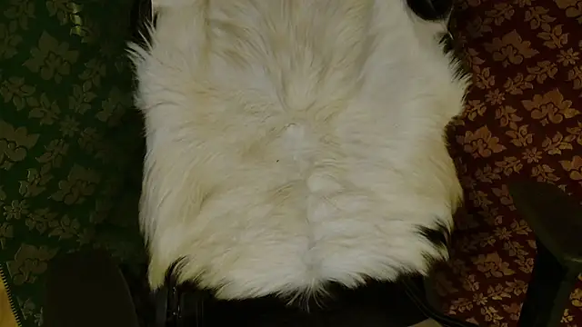 JUSTFORRICH online show from April 2026 03:48:02 PM