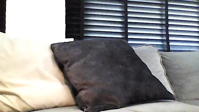 perlados online show from May 2026 02:25:01 PM