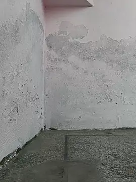 Love-pari077 online show from October 2025 02:34:01 AM