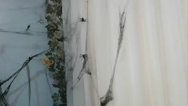 angelainparis28 online show from October 2025 01:06:02 AM