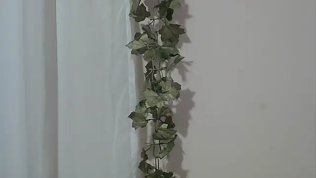 angelainparis28 online show from November 2025 05:00:02 AM