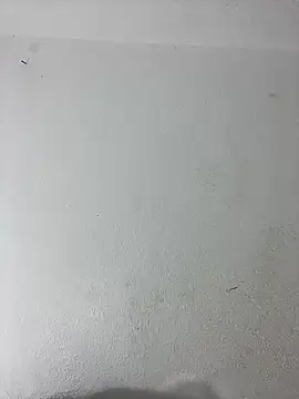 LICEET online show from October 2025 05:22:02 PM