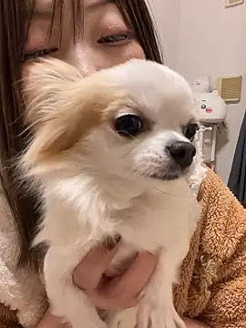 h415a812 online show from November 2025 01:55:01 PM