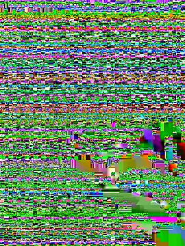 amnnnnnnnnnnn online show from December 2025 12:30:01 AM