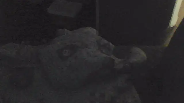 sarahkat86 online show from November 2025 02:05:04 PM