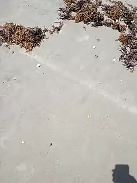 sarahkat86 online show from April 2026 04:52:01 PM