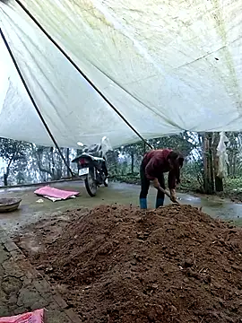 ngocngoc cute online show from March 2026 02:41:01 AM