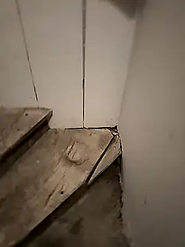 Floppy44 online show from April 2026 01:21:02 AM