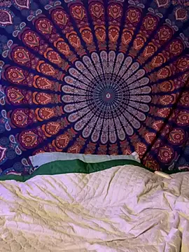 wildflower sex online show from January 2026 02:17:01 AM