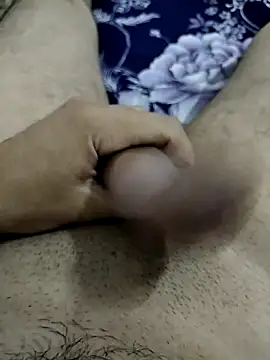 Zepe 12 online show from October 2025 10:15:01 PM