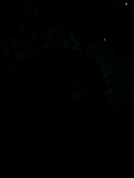 Snapshot of UntidyGuar chatting on November 2025 03:16:02 AM UntidyGuar online show from November 2025 03:16:02 AM