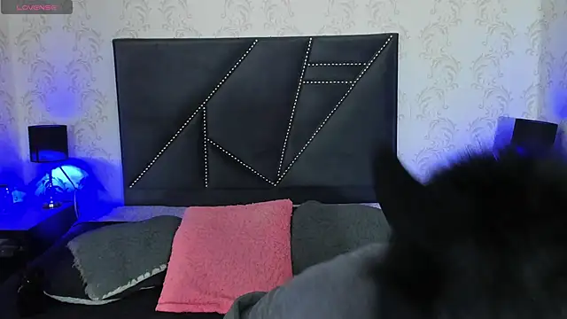 danny rios20 online show from February 2026 08:20:02 PM