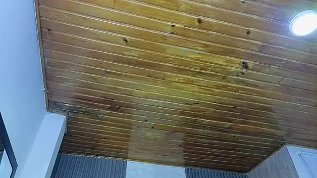 Bonnali lune online show from April 2026 04:45:02 AM