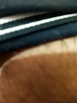 8inches DelhiBOY online show from November 2025 05:13:02 AM