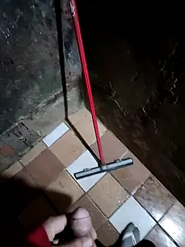 011Nort online show from November 2025 04:12:01 AM