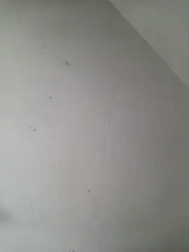 Snapshot of iamlalamilano chatting on March 2026 03:01:01 PM iamlalamilano online show from March 2026 03:01:01 PM