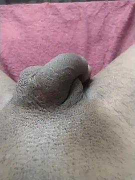 motoboytkbh online show from April 2026 03:58:01 PM