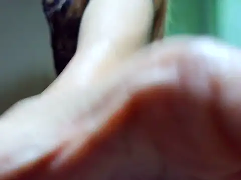 Snapshot of ashley_kimxx chatting on February 2026 11:42:02 AM ashley kimxx online show from February 2026 11:42:02 AM