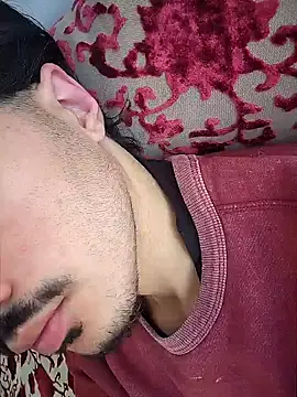 HitShelf online show from January 2026 11:35:01 AM