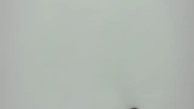 Milf loven  online show from March 2026 08:15:02 PM