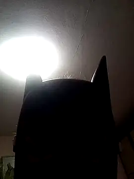 AmandaXXX98 online show from November 2025 02:56:01 PM