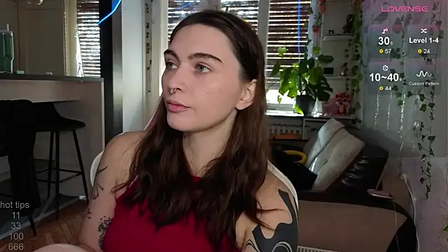 dorfmatratze   online show from November 2025 08:14:02 AM