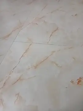 Samantaapu online show from November 2025 02:00:01 PM