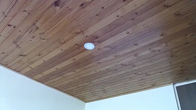 Snapshot of IVONNE_COLLINS33 chatting on September 2025 02:19:01 PM IVONNE COLLINS33 online show from September 2025 02:19:01 PM