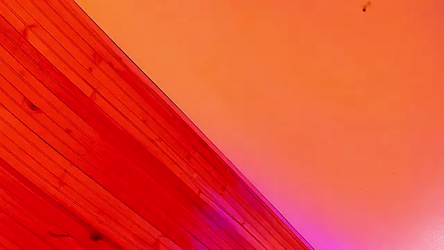 Angel kanon online show from March 2026 12:33:02 PM