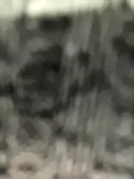 Snapshot of caroline__muller chatting on October 2025 10:49:01 AM caroline muller online show from October 2025 10:49:01 AM