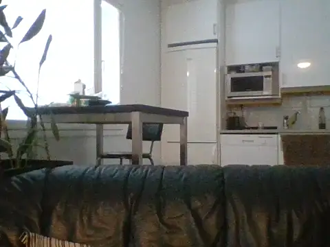 Snapshot of Silverhippo chatting on February 2026 07:01:01 AM Silverhippo online show from February 2026 07:01:01 AM