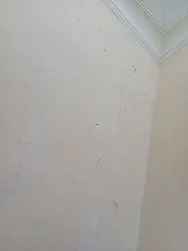 Sondosa3 online show from October 2025 09:02:01 PM